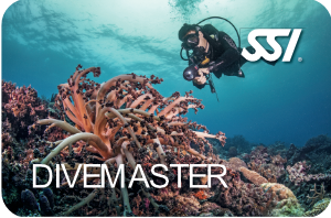 Dive Master