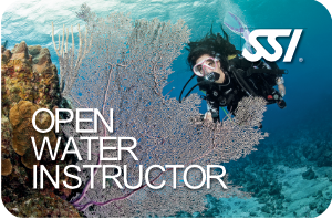 Open Water Instructor